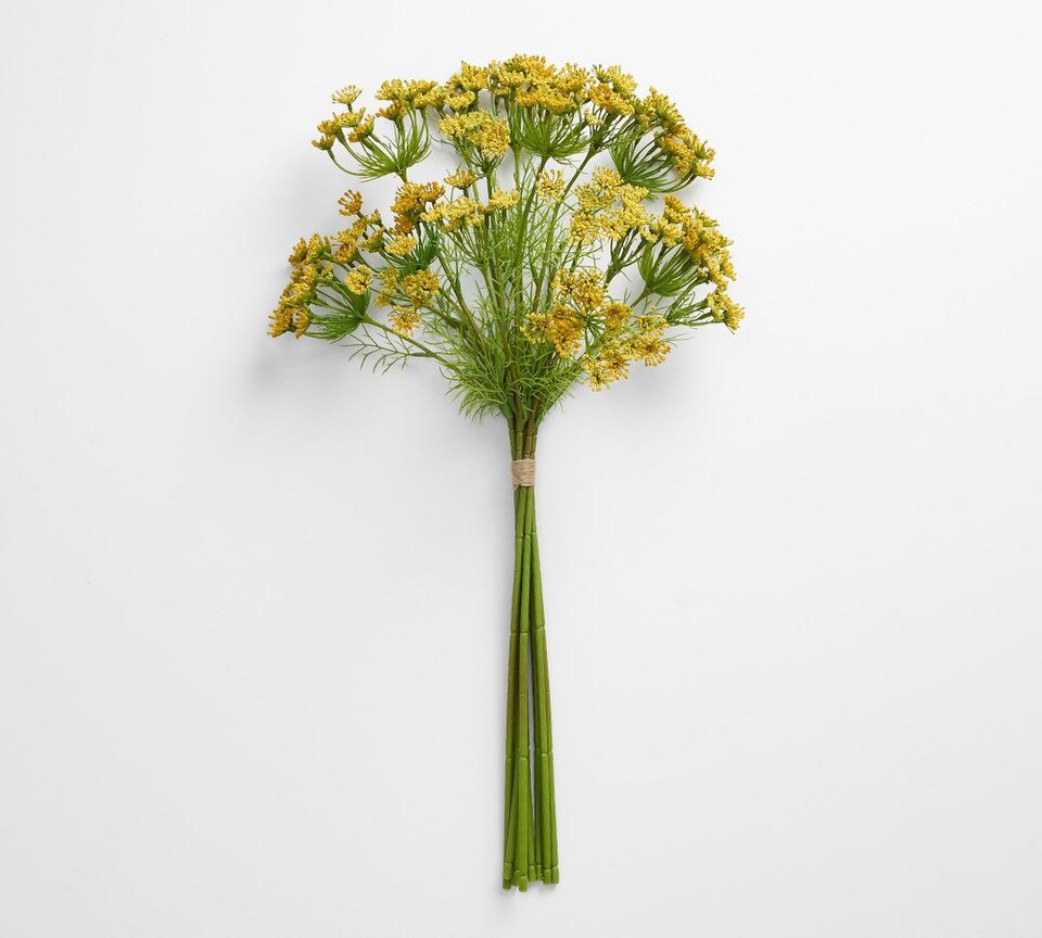 Faux Queen Anne's Lace Bundle Pottery Barn Australia